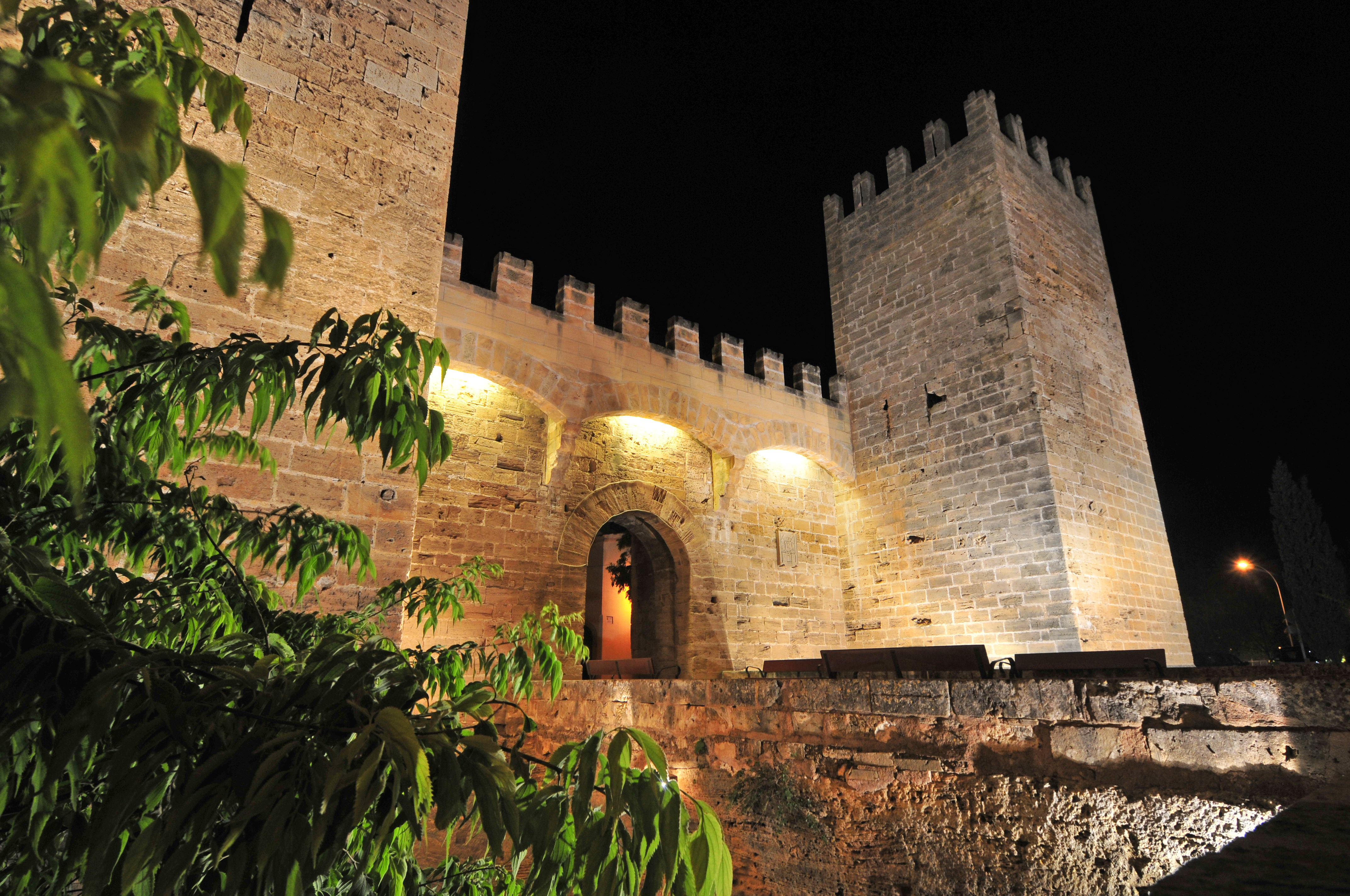 S'Albufereta and S'Albufera: nature ten minutes from home (birds, hiking and viewpoints)